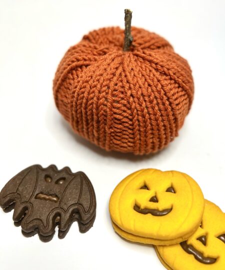 pattern maglia modello per principoanti la zucca ai ferri