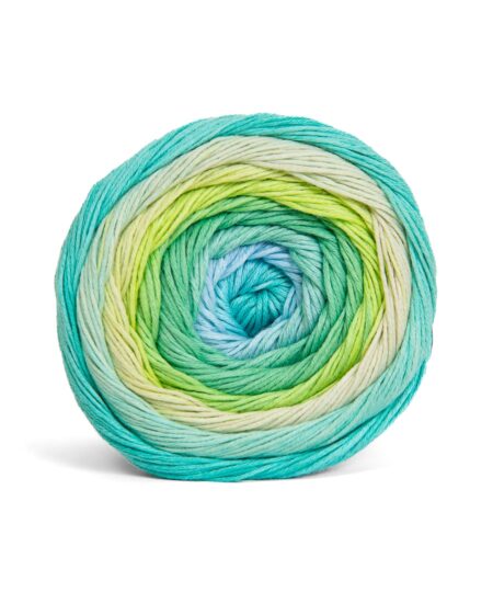 iride 100% cotone Biologico sfumato sesia filati