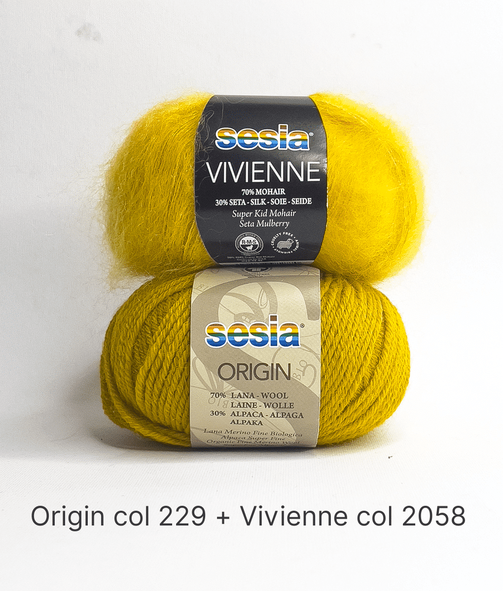 Kit Maglia: Il Gilet Ferri Circolari - immagine 11